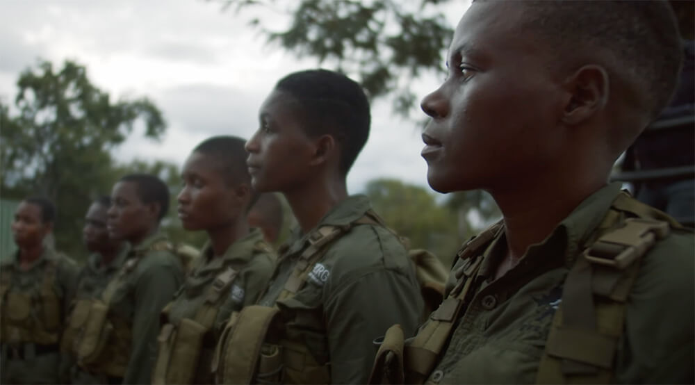 Meet the women taking a stand against poaching in Zimbabwe